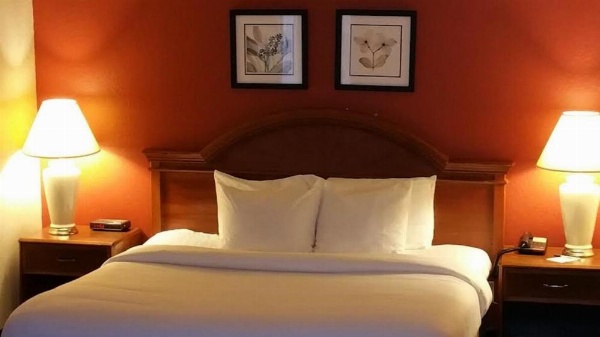 Extended Studio Suites Hotel- Bossier City image 12